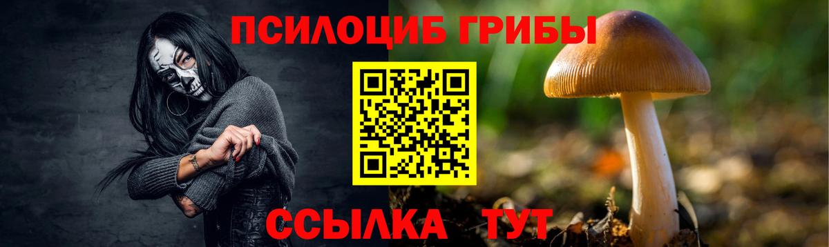 Галлюциногенные грибы GOLDEN TEACHER  Псилоцибиновые грибы мицелий  Сегежа  Вход с VPN 